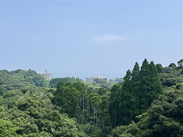 眺望