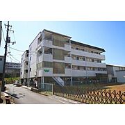 津山駅より徒歩39分 2階 築34年7ヶ月の賃貸物件