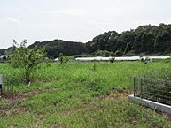 茨城県つくば市栗原1779-7,1779-8,1782-5：物件画像
