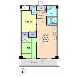 信開ラザール共栄 1階2LDKの間取り