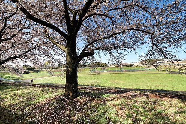 入曽多目的広場内公園 432m