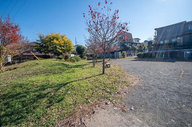 若葉台児童公園 573m