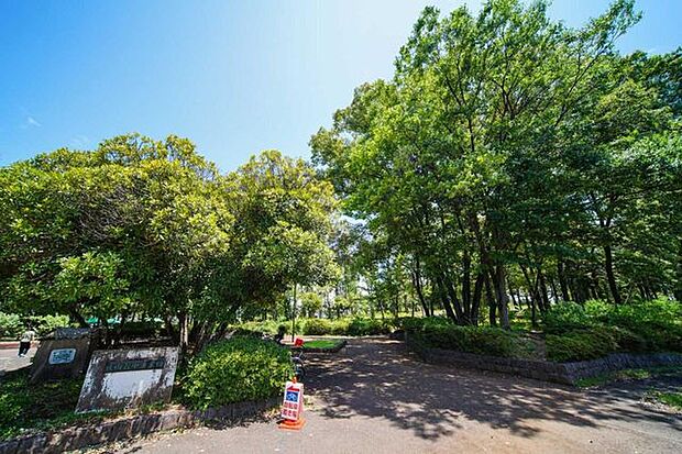 新水野公園 494m