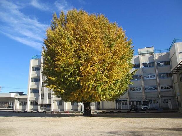 小学校「船橋市立塚田小学校まで1100m」