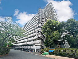 市川パークハイツＢ棟