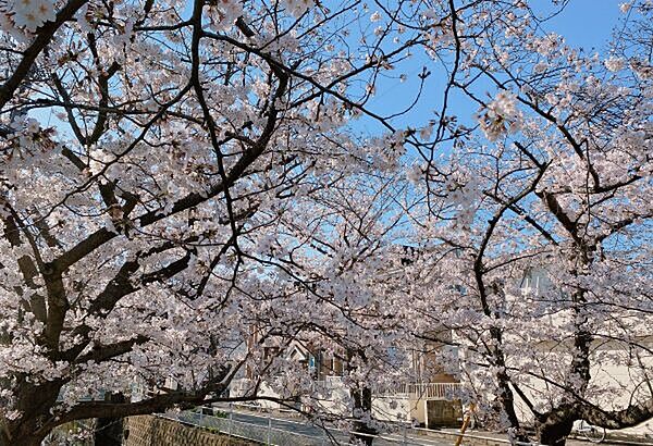 公園「行徳駅前公園まで439m」