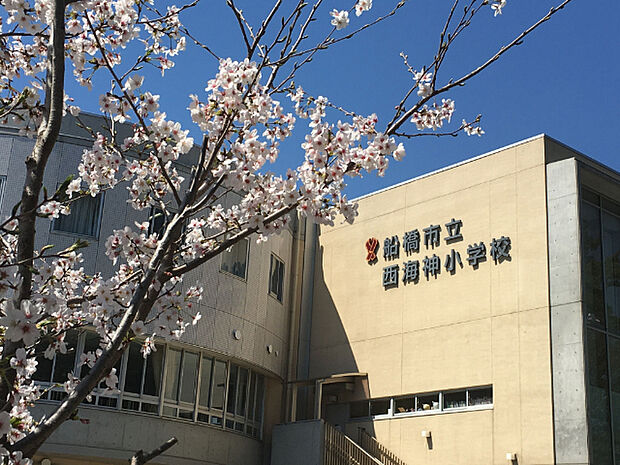 小学校「船橋市立西海神小学校まで550m」