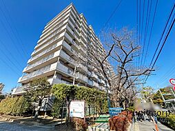 ライオンズマンション南市川