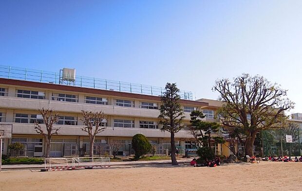 中学校「市川市立第二中学校まで550m」