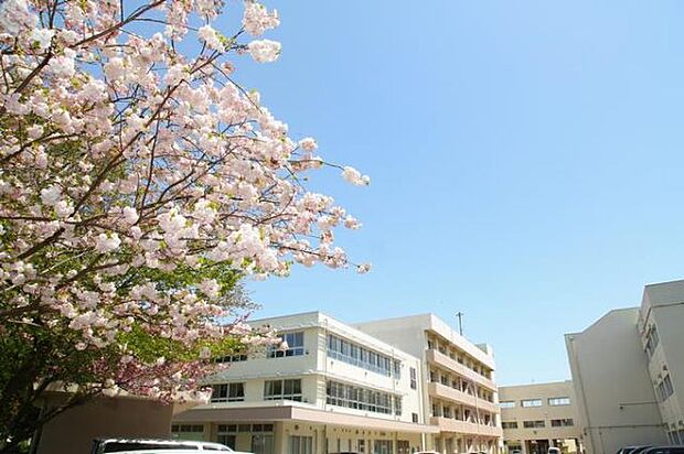 中学校「船橋市立坪井中学校まで1856m」
