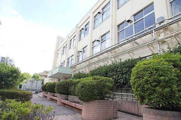 中学校「江戸川区立春江中学校まで850m」