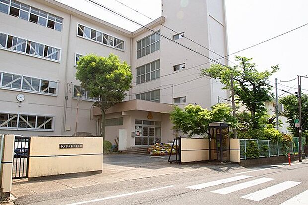 中学校「松戸市立第三中学校まで640m」