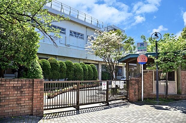 小学校「市川市立南行徳小学校まで545m」