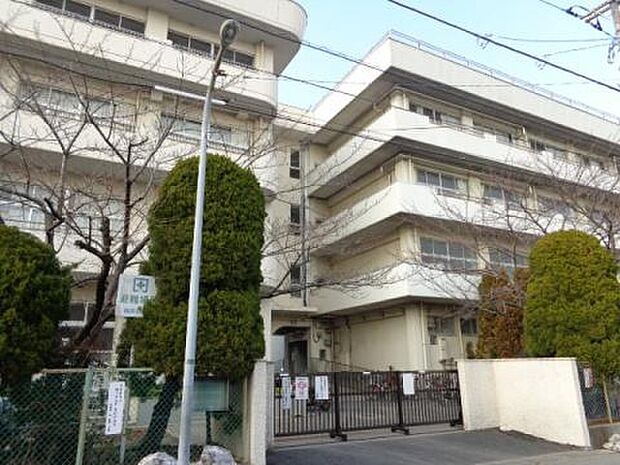 中学校「市川市立福栄中学校まで1205m」