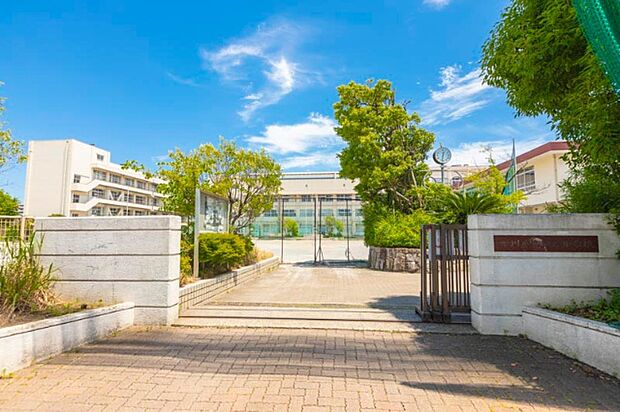 中学校「市川市立第六中学校まで260m」