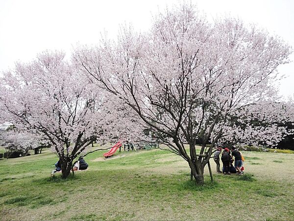 公園「中央公園まで876m」