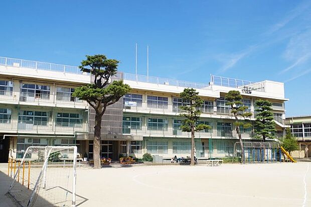 小学校「市川市立市川小学校まで550m」