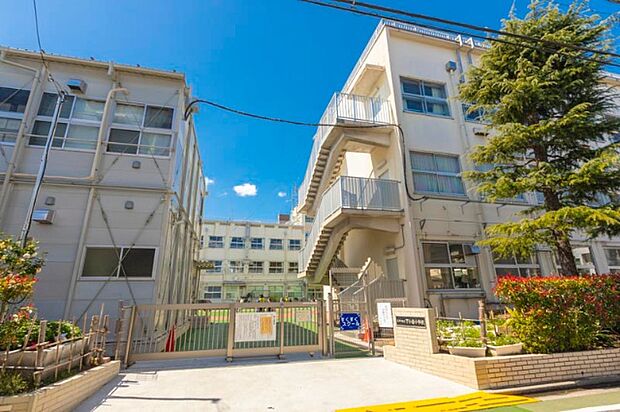 小学校「江戸川区立下小岩小学校まで850m」