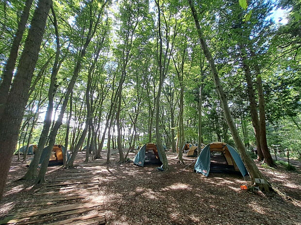 公園「いちかわ市民キャンプ場まで1074m」