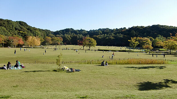 公園「21世紀の森と広場まで1875m」