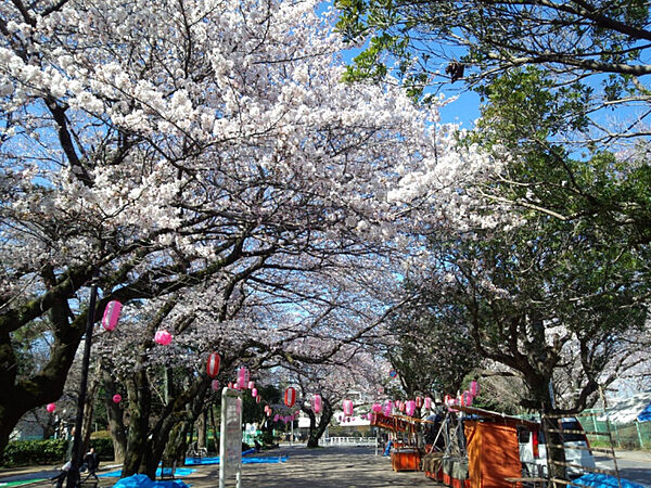 公園「薬円台公園まで398m」