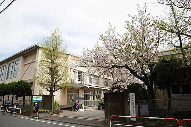 小学校「市川市立信篤小学校まで900m」
