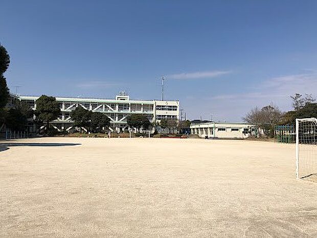 小学校「船橋市立高郷小学校まで800m」