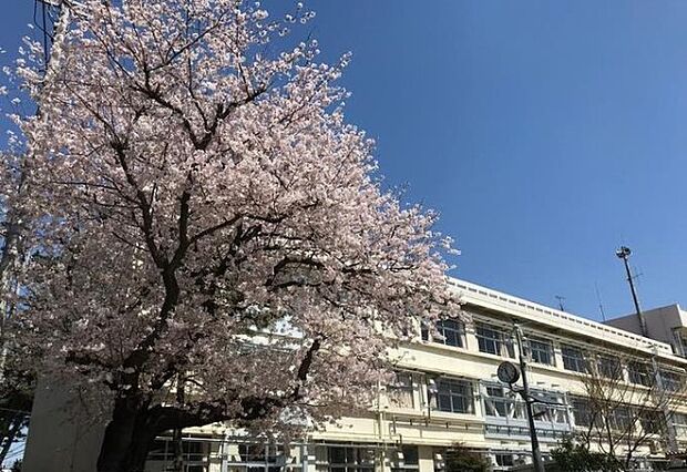 小学校「船橋市立八栄小学校まで436m」