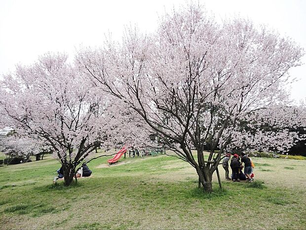 公園「中央公園まで1165m」
