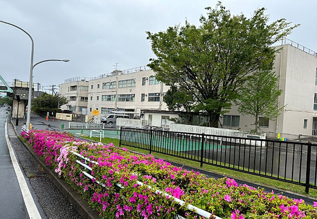 小学校「浦安市立舞浜小学校まで1100m」