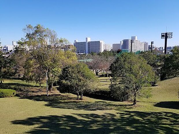 公園「中央公園まで1184m」