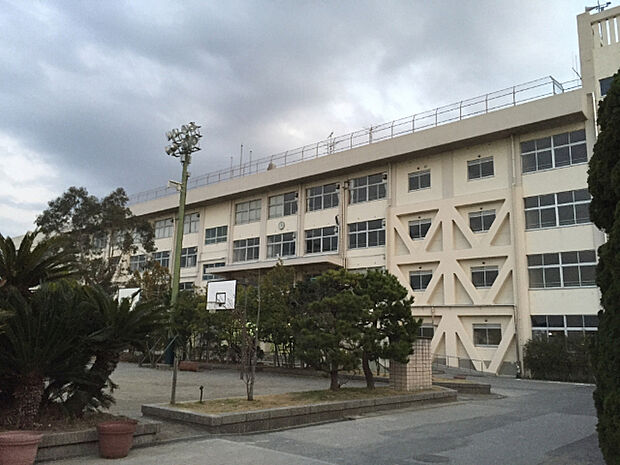 中学校「市川市高谷中学校まで1000m」