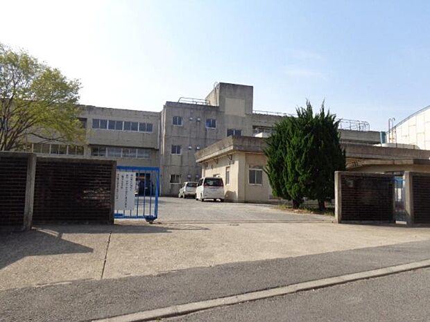 小学校「松戸市立貝の花小学校まで240m」