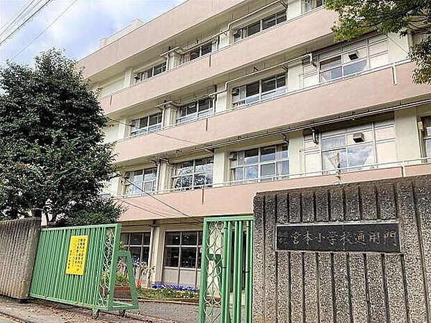 小学校「船橋市立宮本小学校まで700m」