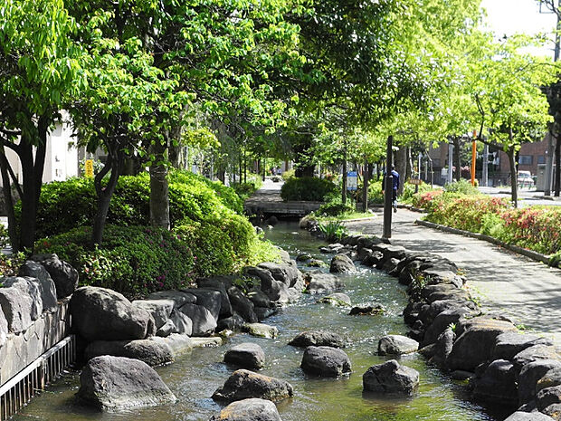 公園「一之江境川親水公園まで180m」