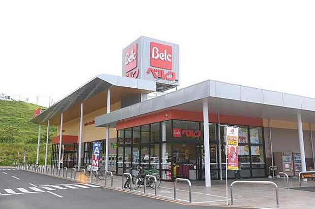 スーパー「ヤオコー市川新田店まで1100m」