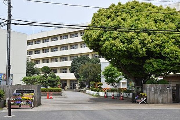 小学校「船橋市立坪井小学校まで500m」