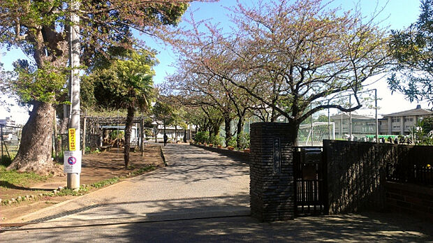 中学校「千葉市立葛城中学校まで1000m」