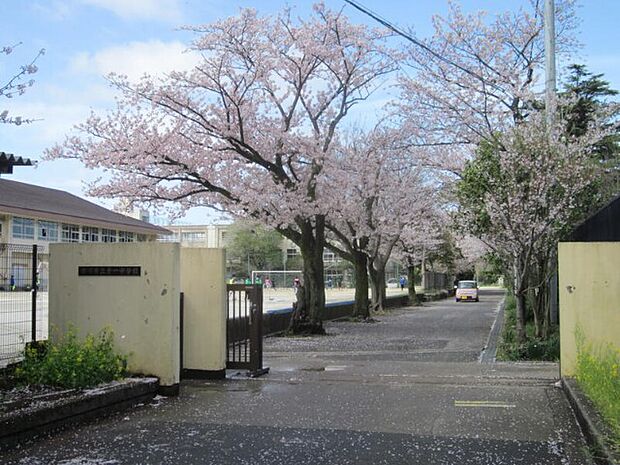 中学校「市川市立第一中学校まで900m」