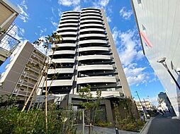 Brilliant View Central Park