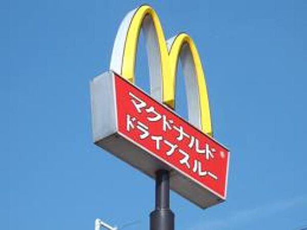 画像27:マクドナルド 1054m