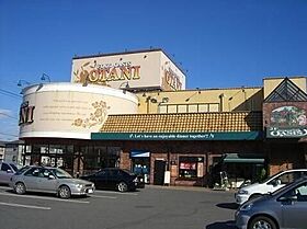 栃木県宇都宮市富士見が丘4丁目（賃貸アパート1LDK・2階・33.39㎡） その23