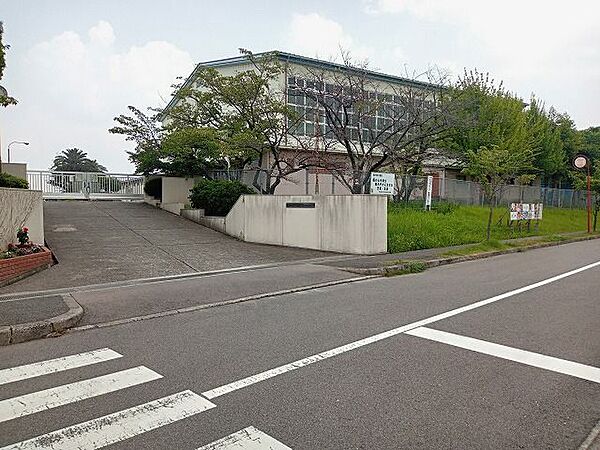 堺市立晴美台中学校 560m
