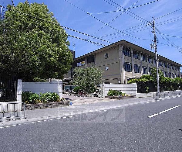 画像26:松尾中学校まで450m 桂川沿いの大きな中学校です。