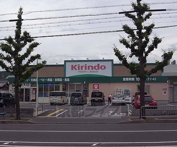 画像14:キリン堂 新丸太町店まで195m 丸太町上がってすぐ 近隣にはスーパーなどもございます