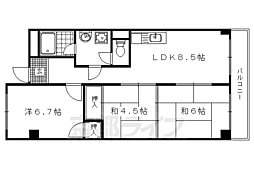 ハイツ桂　Ａ棟 4階3DKの間取り