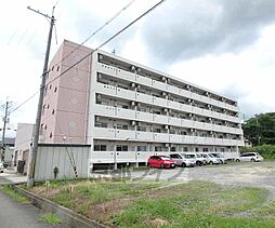 ブラッサム精華