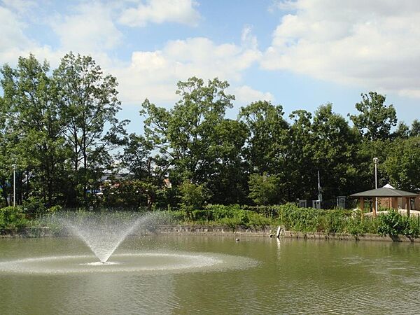 羽鷹池公園まで310m