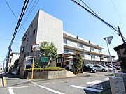 グリーンコーポラス 1階 築46年7ヶ月の賃貸物件
