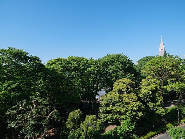 遠くまで青々と広がる大空に開放感とゆとりを宿すロケーション。「新宿御苑」の木々から季節の移ろいを感じることができる眺望です。